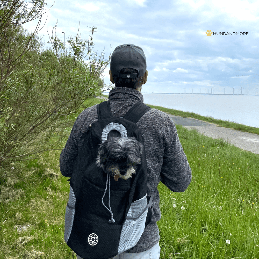 Hunde-Rucksack für Unterwegs